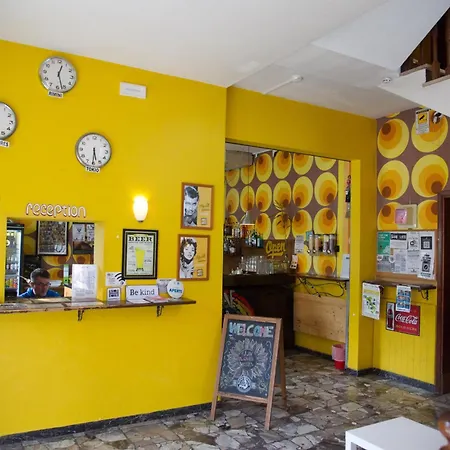 Sunflower Student & Bar Hostel *