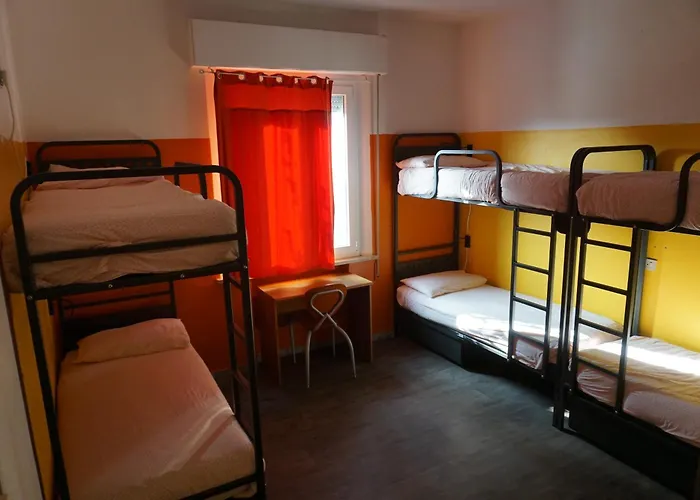 Sunflower Student & Bar *