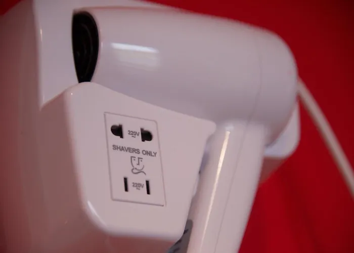 Sunflower Student & Bar