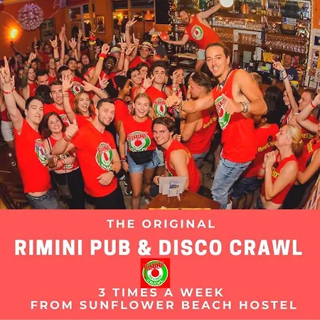 Sunflower Student & Bar * Rimini