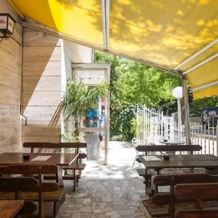 אכסניה Sunflower Student & Bar *