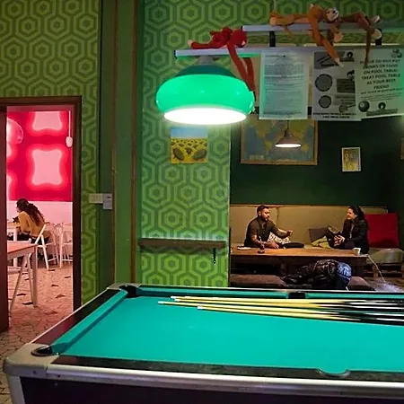 Sunflower Student & Bar * רימיני