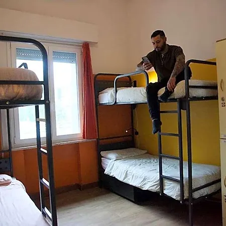 Sunflower Student & Bar * רימיני