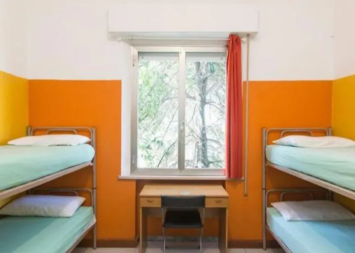 Sunflower Student & Bar *