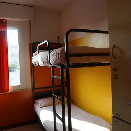 Sunflower Student & Bar * רימיני