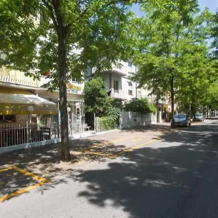 Sunflower Student & Bar אכסניה *