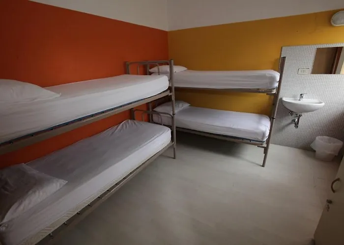 Sunflower Student & Bar Rimini