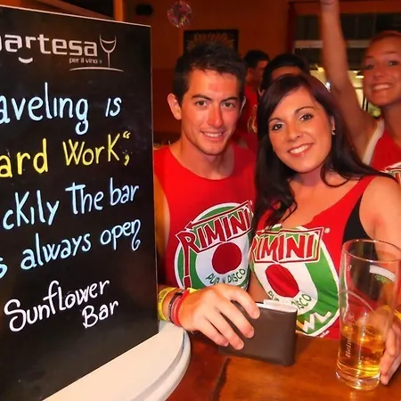 Sunflower Student & Bar